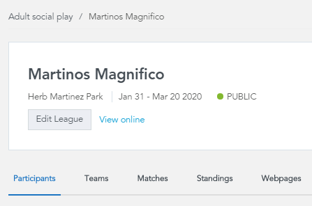 Adult_Social_Leagues_31.png